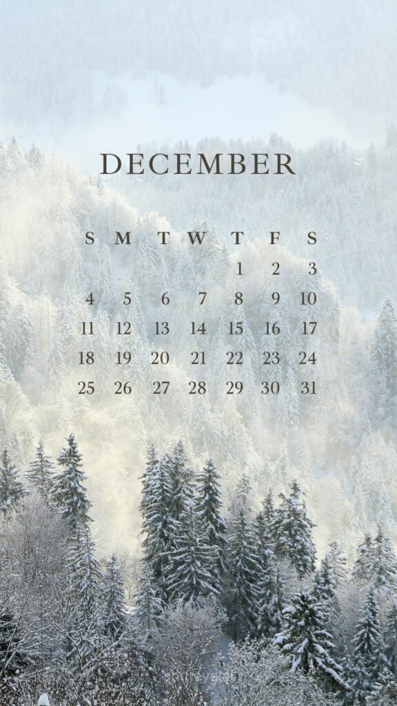 ShutEye Printable December Calendar 2022