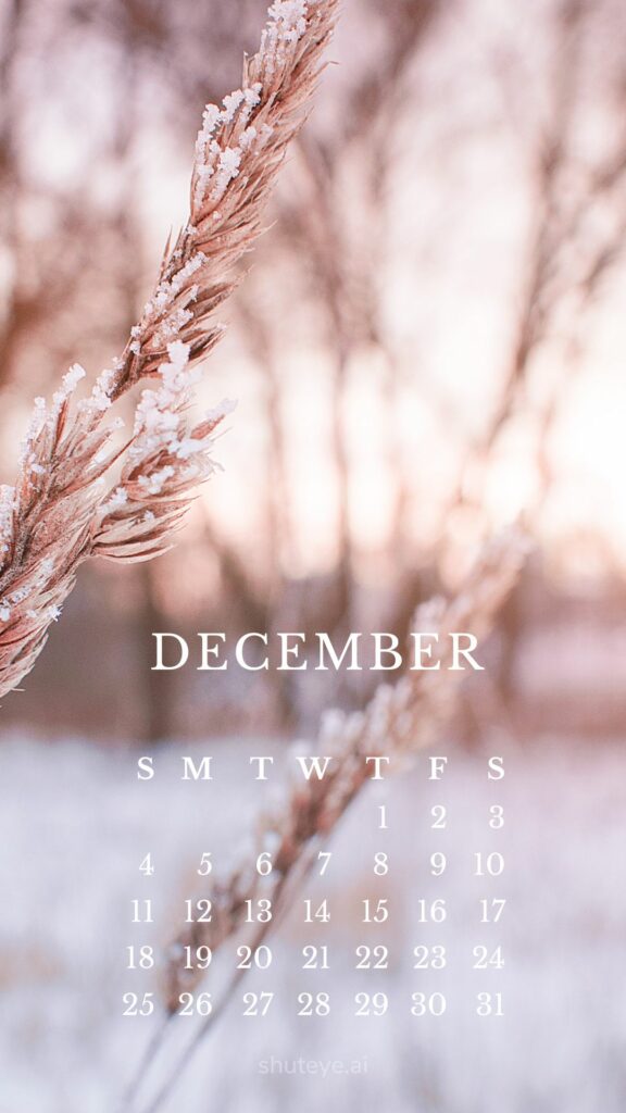 ShutEye Printable December Calendar 2022