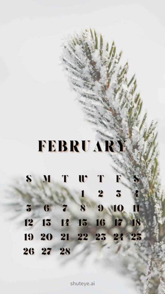 February Calendar 2024