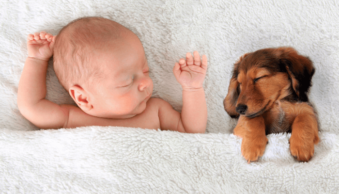 baby sleeping beside puppy