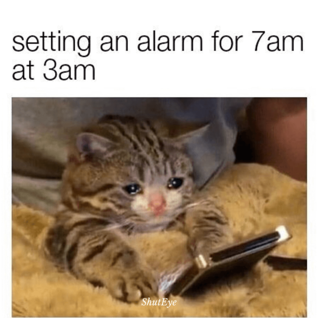 Funniest Can't Sleep Memes