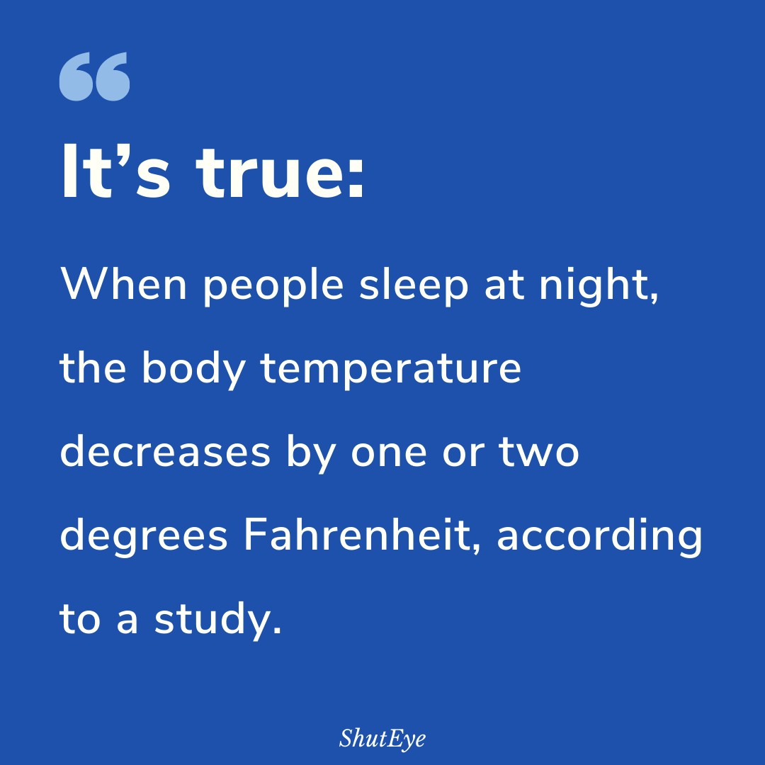 35 Interesting Sleep Facts That You Didn’t Know!