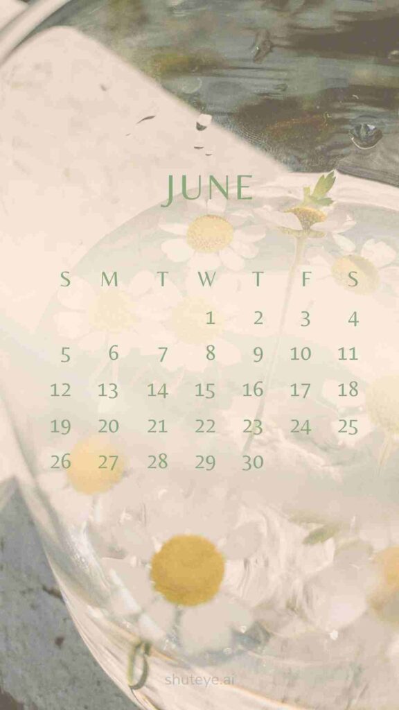 ShutEye Printable June Calendar 2024