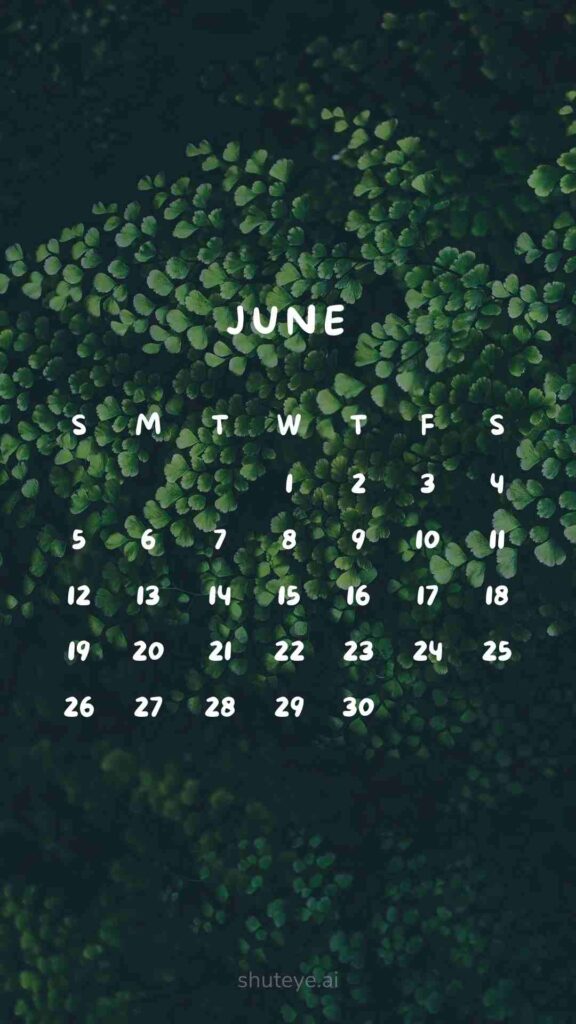 ShutEye Printable June Calendar 2024