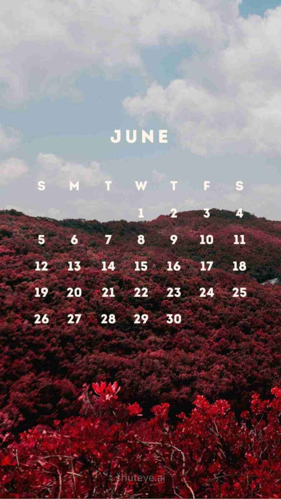 ShutEye Printable June Calendar 2022 1