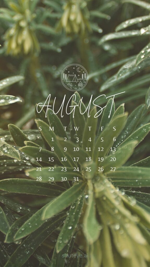 Printable August 2024 Calendar 