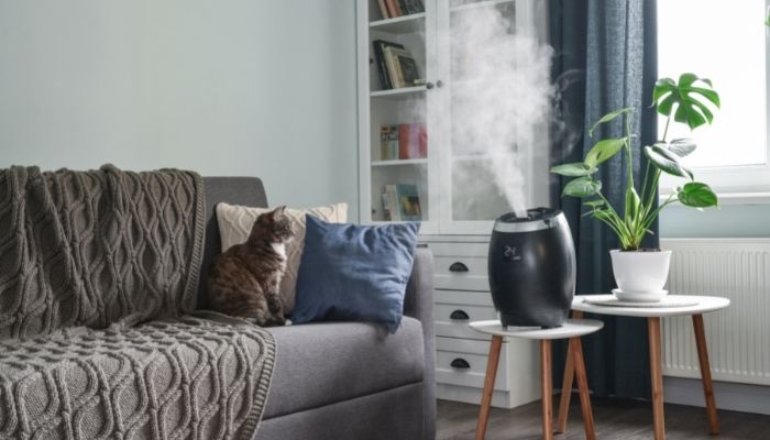 sleeping with a fan brings dry air