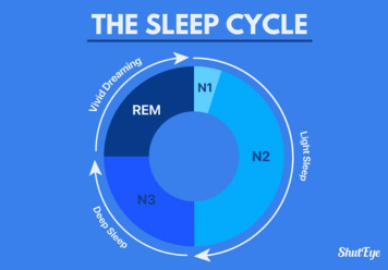 Stages of Sleep: What Happens In Each Phase of Sleep Cycles