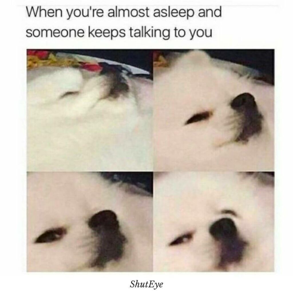 sleep funny memes