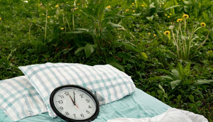 clock on bed in a grass field.