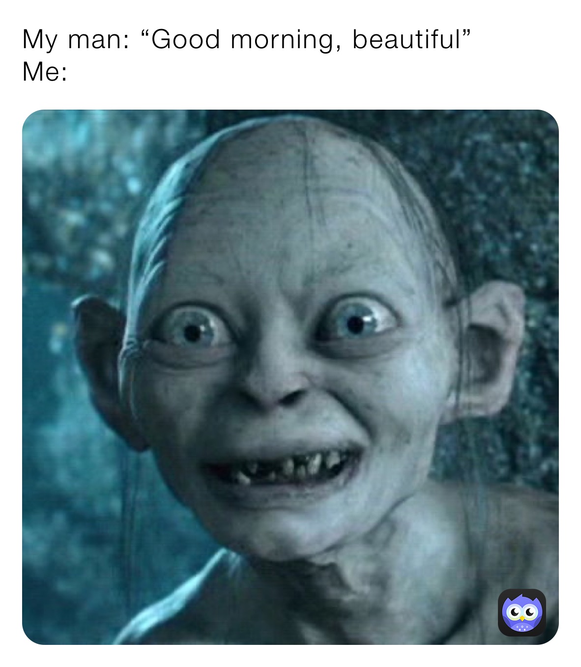 when your husband calls you beautiful in the morning meme
funny good morning memes