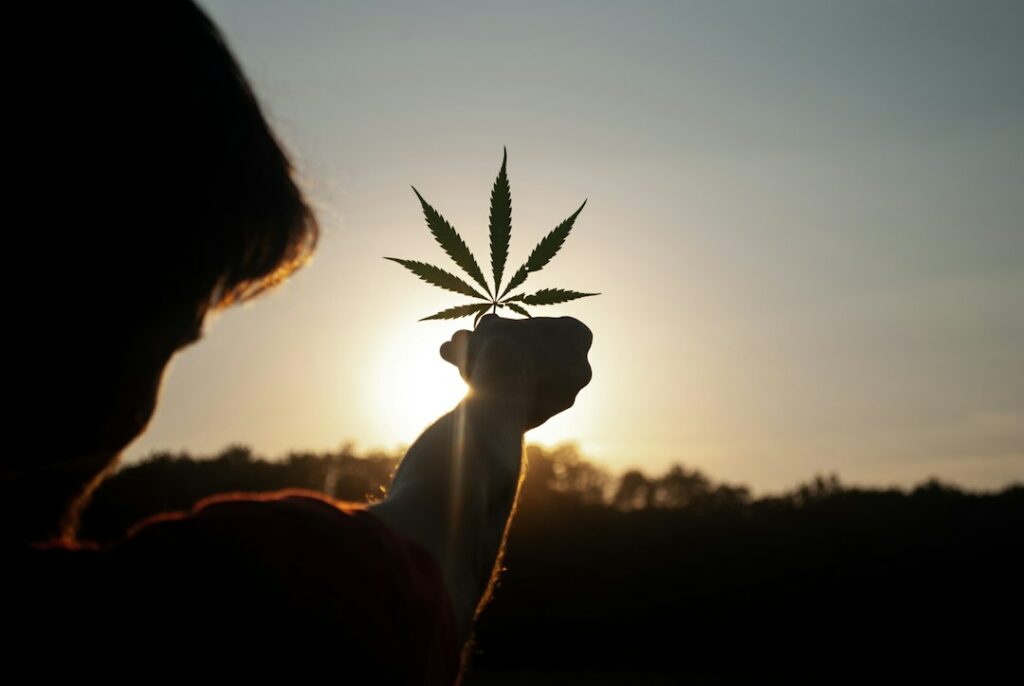 person holding marijuana flower during sunset
what happens when you sleep high