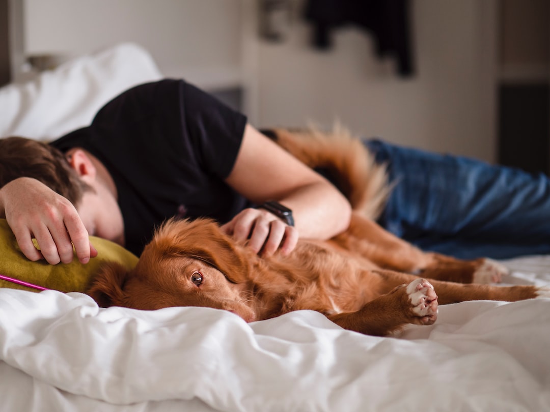 man sleeping with dog narcolepsy genetic