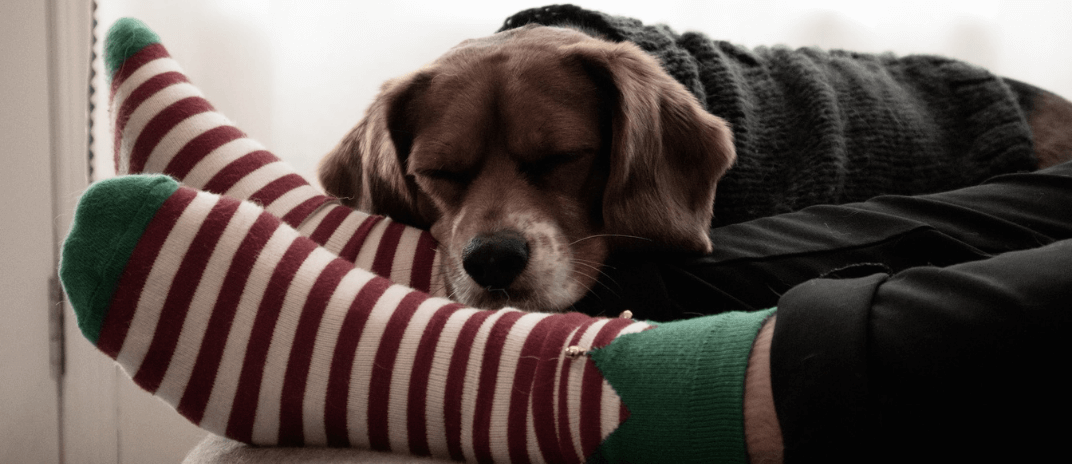 Sleeping with Socks: Benefits For Sleep