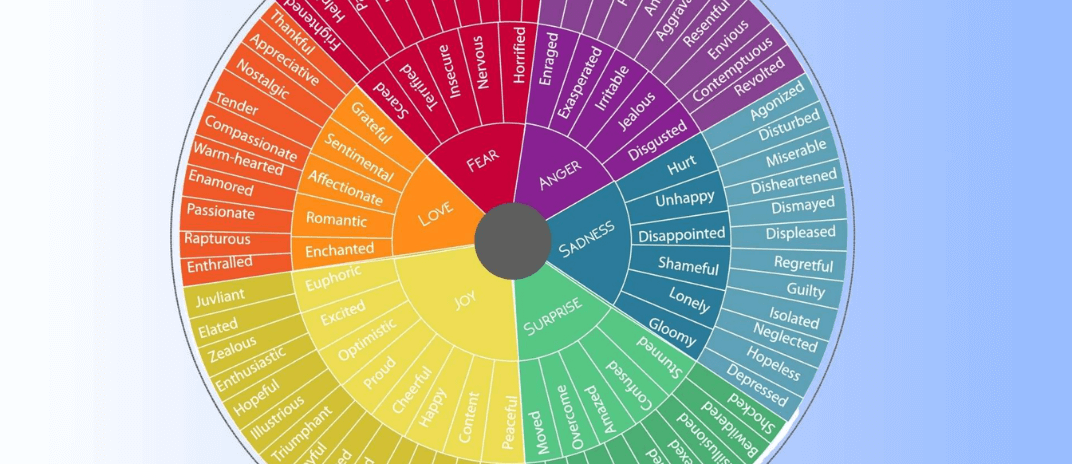 Feelings Wheel: Identifying The Emotions That You Feel