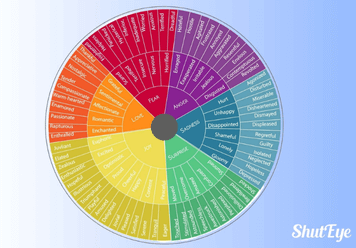 Feelings Wheel: Identifying The Emotions That You Feel