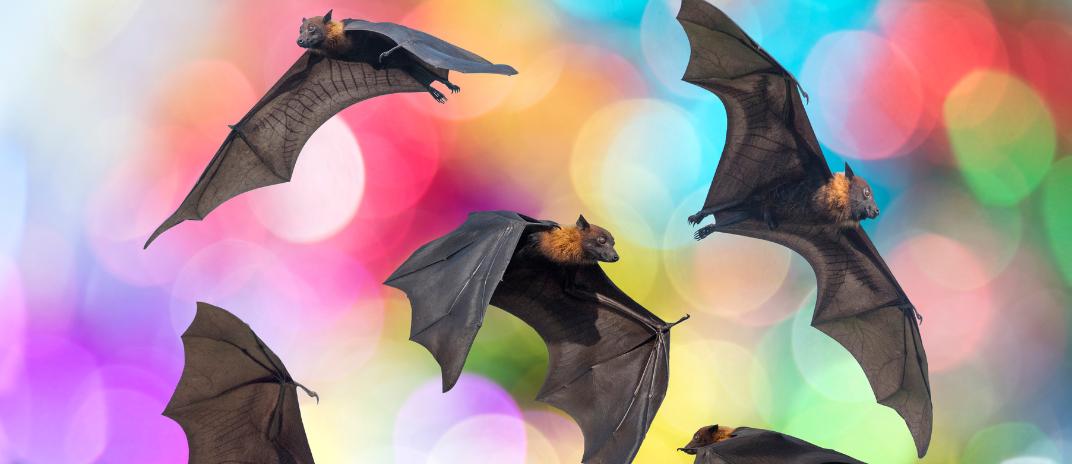 What Does it Mean to Have A Dream of Bats?