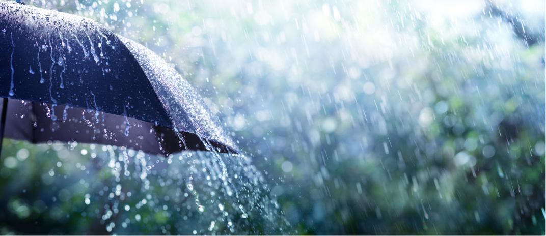 Dreaming About Rain: What Does It Mean And How To Interpret?