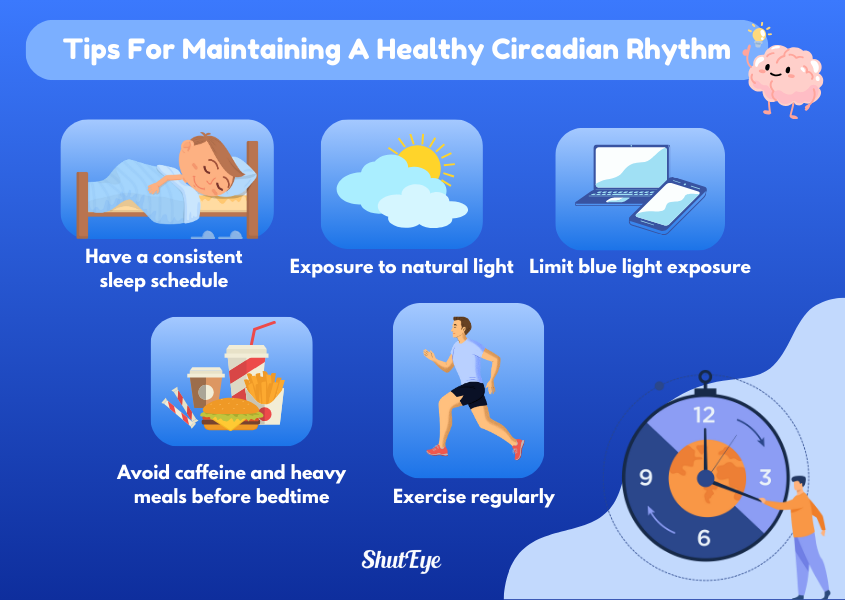 Tips for maintaining a healthy circadian rhythm 
shuteye