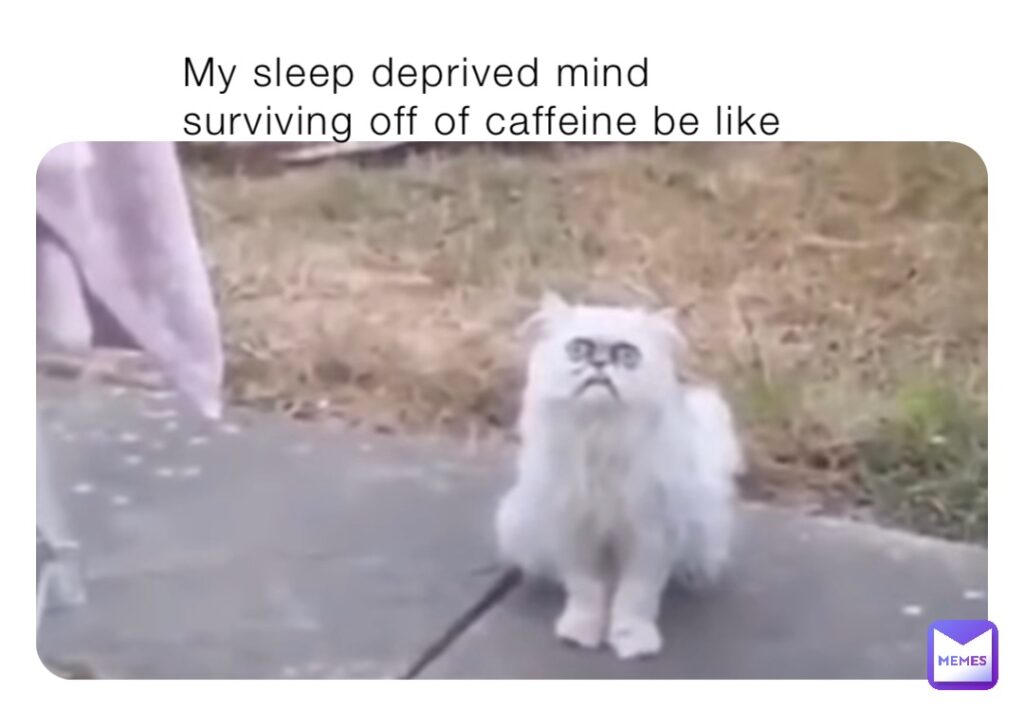 sleep deprived mind surviving on caffeine
memes about sleep