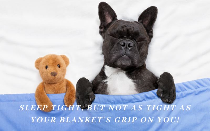 sleep tight, but not as tight as your blanket grips on you - funny good night messages